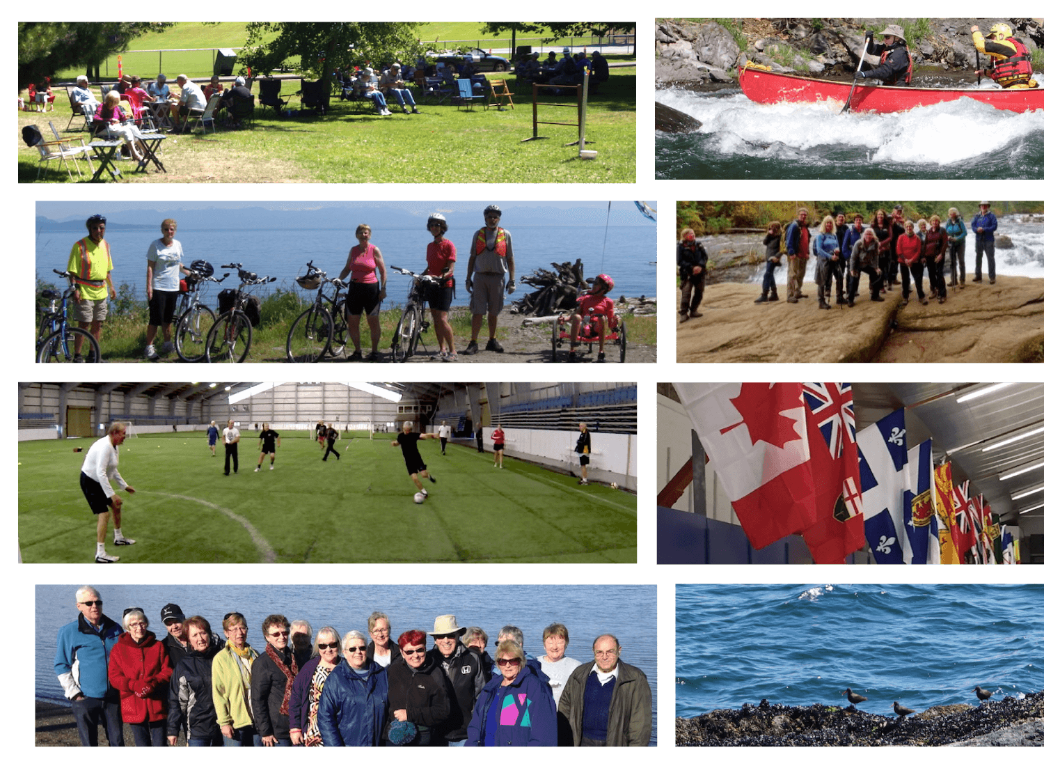 PGOSA - Parksville Golden Oldies Sports Association collage of images