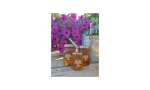 Pollen Acres Farm logo