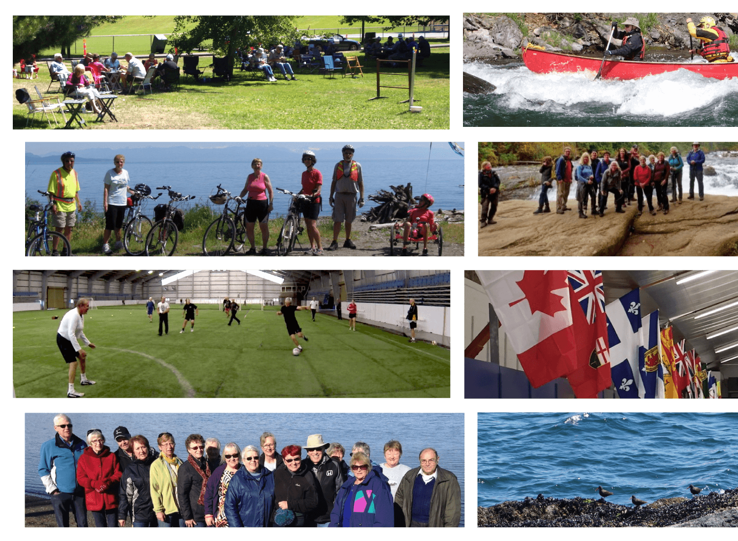 PGOSA - Parksville Golden Oldies Sports Association collage of images